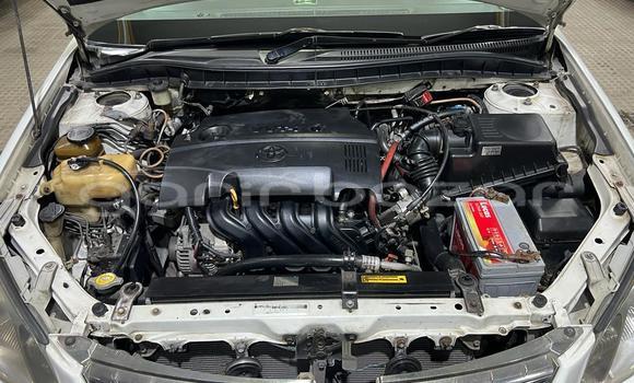 কেনা ব্যবহৃত Toyota Premio White গাড়ী মধ্যে ঢাকা মধ্যে Dhaka কেনা ব্যবহৃত Toyota Premio White গাড়ী মধ্যে ঢাকা মধ্যে Dhaka