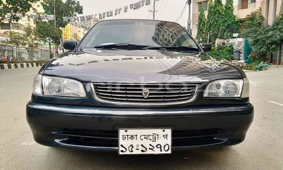 Buy Used 2019 Toyota Corolla in Bagerhat, Khulna Buy Used 2019 Toyota Corolla in Bagerhat, Khulna