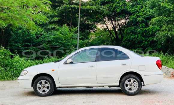 Buy Used 2009 Nissan Sunny in Dhaka, Dhaka Buy Used 2009 Nissan Sunny in Dhaka, Dhaka