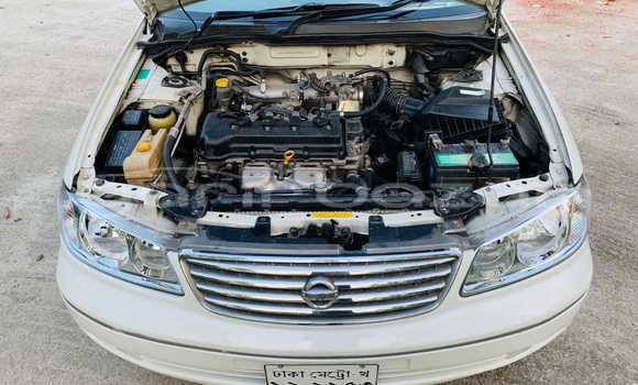 Buy Used 2009 Nissan Sunny in Dhaka, Dhaka Buy Used 2009 Nissan Sunny in Dhaka, Dhaka