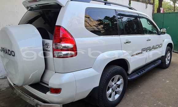 কেনা ব্যবহৃত Toyota Prado landcruiser Pearl গাড়ী মধ্যে ঢাকা মধ্যে Dhaka কেনা ব্যবহৃত Toyota Prado landcruiser Pearl গাড়ী মধ্যে ঢাকা মধ্যে Dhaka