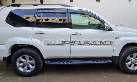 কেনা ব্যবহৃত Toyota Prado landcruiser Pearl গাড়ী মধ্যে ঢাকা মধ্যে Dhaka কেনা ব্যবহৃত Toyota Prado landcruiser Pearl গাড়ী মধ্যে ঢাকা মধ্যে Dhaka
