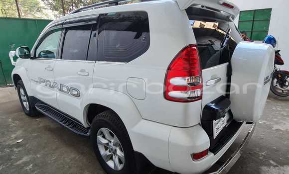 কেনা ব্যবহৃত Toyota Prado landcruiser Pearl গাড়ী মধ্যে ঢাকা মধ্যে Dhaka কেনা ব্যবহৃত Toyota Prado landcruiser Pearl গাড়ী মধ্যে ঢাকা মধ্যে Dhaka