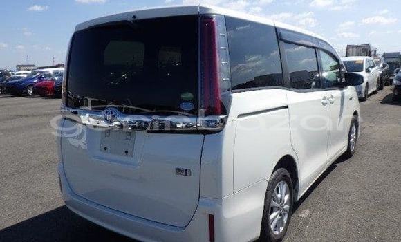 কেনা ব্যবহৃত Noble M12 GTO Dark green গাড়ী মধ্যে ঢাকা মধ্যে Dhaka কেনা ব্যবহৃত Noble M12 GTO Dark green গাড়ী মধ্যে ঢাকা মধ্যে Dhaka