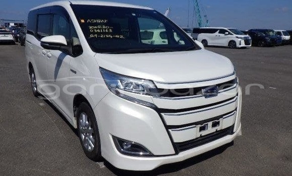 কেনা ব্যবহৃত Noble M12 GTO Dark green গাড়ী মধ্যে ঢাকা মধ্যে Dhaka কেনা ব্যবহৃত Noble M12 GTO Dark green গাড়ী মধ্যে ঢাকা মধ্যে Dhaka