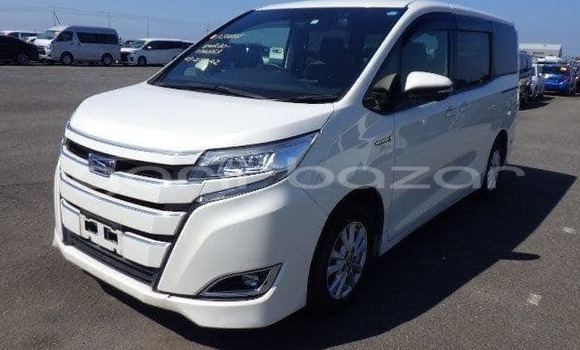 কেনা ব্যবহৃত Noble M12 GTO Dark green গাড়ী মধ্যে ঢাকা মধ্যে Dhaka কেনা ব্যবহৃত Noble M12 GTO Dark green গাড়ী মধ্যে ঢাকা মধ্যে Dhaka