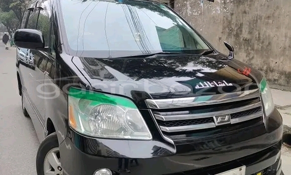 কেনা ব্যবহৃত Ford MUSTANG Black গাড়ী মধ্যে বাজিতপুর মধ্যে Kishorganj কেনা ব্যবহৃত Ford MUSTANG Black গাড়ী মধ্যে বাজিতপুর মধ্যে Kishorganj