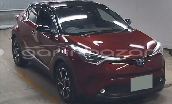 কেনা ব্যবহৃত Toyota CHR Other গাড়ী মধ্যে ঢাকা মধ্যে Dhaka কেনা ব্যবহৃত Toyota CHR Other গাড়ী মধ্যে ঢাকা মধ্যে Dhaka