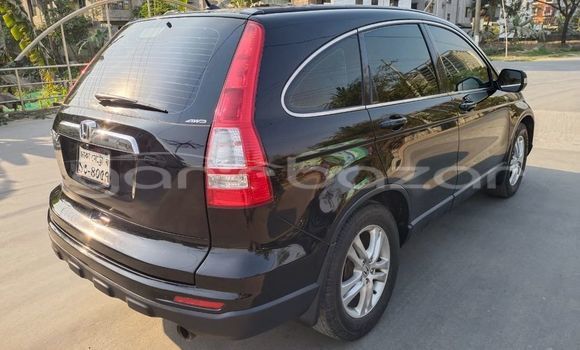 Buy Used 2010 Honda CR-V in Dhaka, Dhaka Buy Used 2010 Honda CR-V in Dhaka, Dhaka