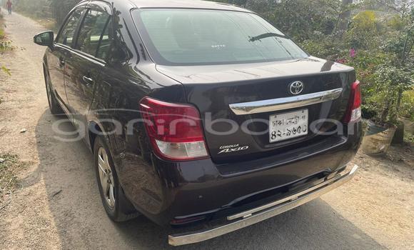 কেনা ব্যবহৃত Toyota Axio Red wine গাড়ী মধ্যে ঢাকা মধ্যে Dhaka কেনা ব্যবহৃত Toyota Axio Red wine গাড়ী মধ্যে ঢাকা মধ্যে Dhaka