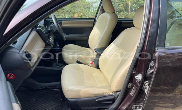 কেনা ব্যবহৃত Toyota Axio Red wine গাড়ী মধ্যে ঢাকা মধ্যে Dhaka কেনা ব্যবহৃত Toyota Axio Red wine গাড়ী মধ্যে ঢাকা মধ্যে Dhaka