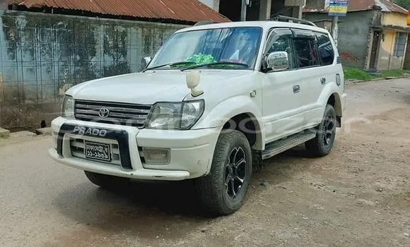 Buy Used Toyota Land Cruiser in Bheramara, Kushtiya Buy Used Toyota Land Cruiser in Bheramara, Kushtiya