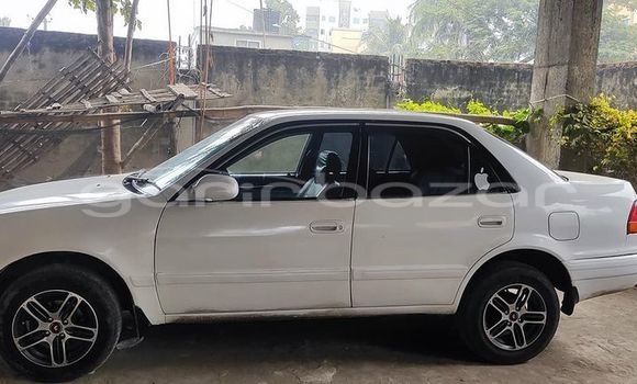 কেনা ব্যবহৃত Toyota 110 White গাড়ী মধ্যে বাজিতপুর মধ্যে Kishorganj কেনা ব্যবহৃত Toyota 110 White গাড়ী মধ্যে বাজিতপুর মধ্যে Kishorganj