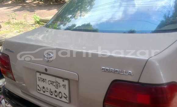 Buy Used Toyota Car Buy Used Toyota Car