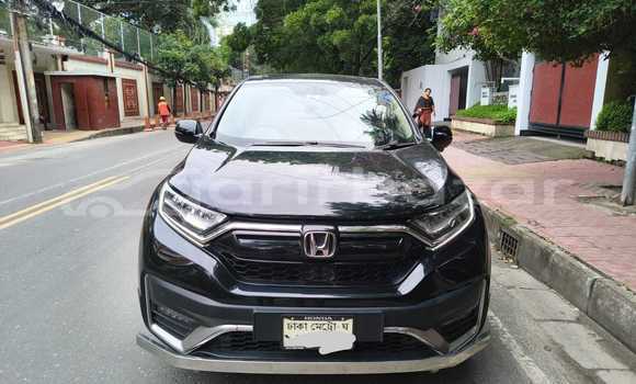 Buy New Changan Car