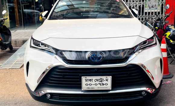 Buy New Toyota Car