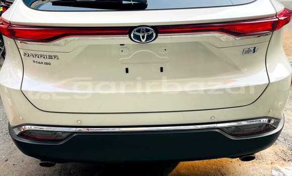 Buy New Toyota Car Buy New Toyota Car