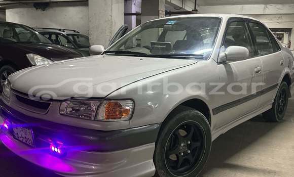 Buy Used Toyota Car Buy Used Toyota Car