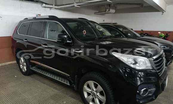 Buy Used Haval Car