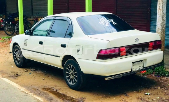 Buy Used Toyota Car Buy Used Toyota Car