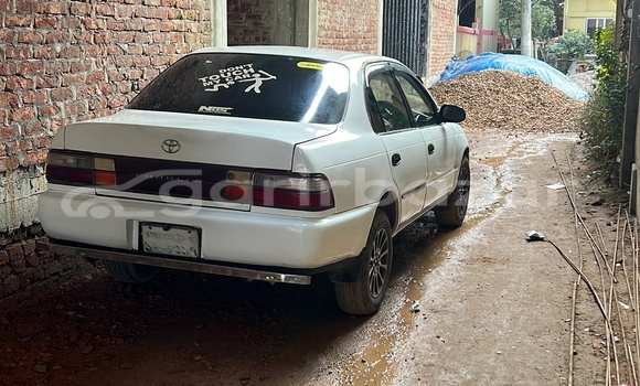 Buy Used Toyota Car Buy Used Toyota Car