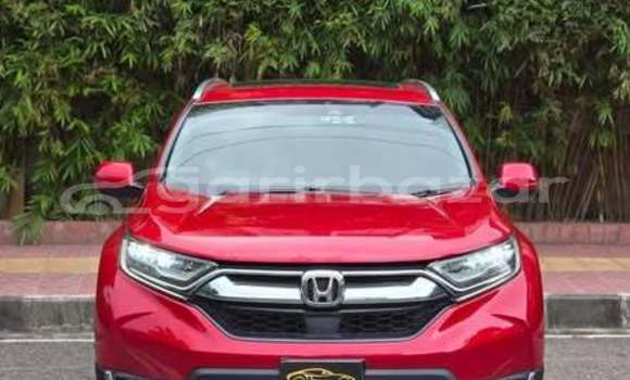 Buy Used Honda Car Buy Used Honda Car