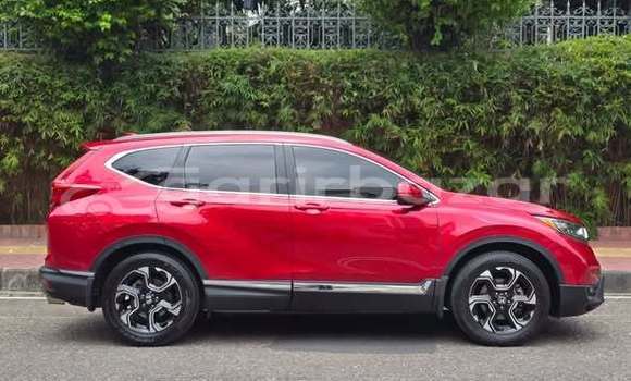 Buy Used Honda Car Buy Used Honda Car