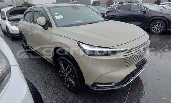 Buy Used Honda Car