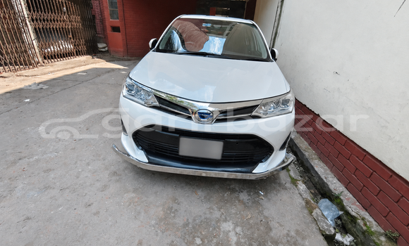Buy Used Toyota Car