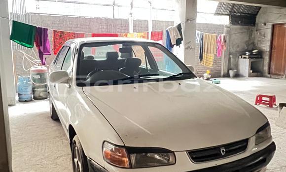 Buy Used Toyota Car