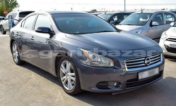 কেনা আমদানি Nissan Maxima Other গাড়ী মধ্যে ইম্পোর্ট - দুবাই মধ্যে Bandarban কেনা আমদানি Nissan Maxima Other গাড়ী মধ্যে ইম্পোর্ট - দুবাই মধ্যে Bandarban