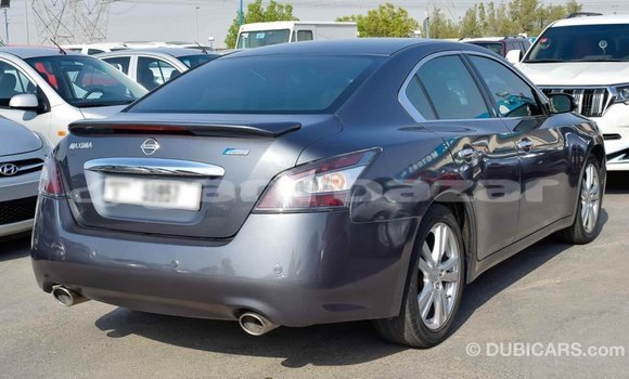 কেনা আমদানি Nissan Maxima Other গাড়ী মধ্যে ইম্পোর্ট - দুবাই মধ্যে Bandarban কেনা আমদানি Nissan Maxima Other গাড়ী মধ্যে ইম্পোর্ট - দুবাই মধ্যে Bandarban