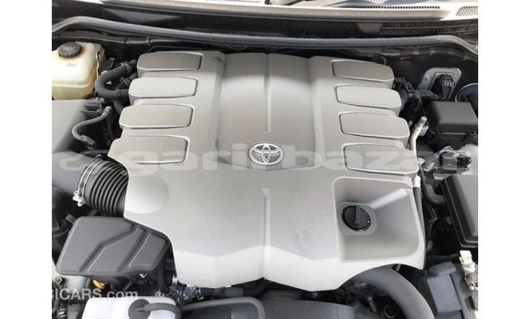 কেনা আমদানি Toyota Land Cruiser White গাড়ী মধ্যে ইম্পোর্ট - দুবাই মধ্যে Bandarban কেনা আমদানি Toyota Land Cruiser White গাড়ী মধ্যে ইম্পোর্ট - দুবাই মধ্যে Bandarban